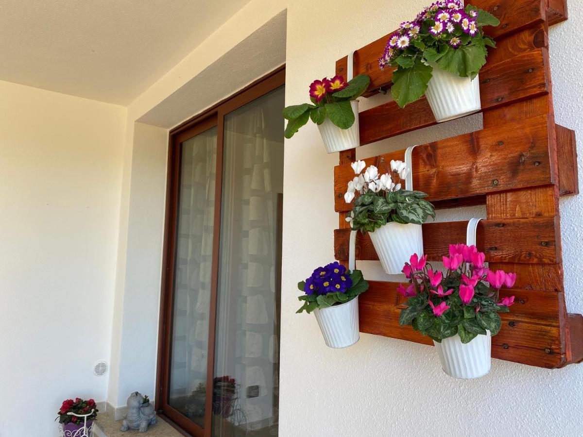 Casa Mirto Villa Olbia Ngoại thất bức ảnh